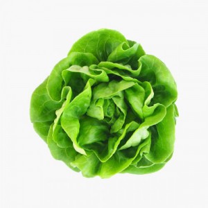  Omuz Bağlama Halka Kemer Tulum