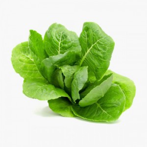  Omuz Bağlama Halka Kemer Tulum