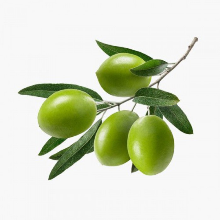  Omuz Bağlama Halka Kemer Tulum